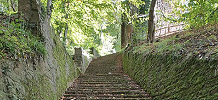 lifecoach-hd_angebote